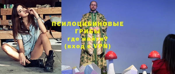 индика Алексеевка