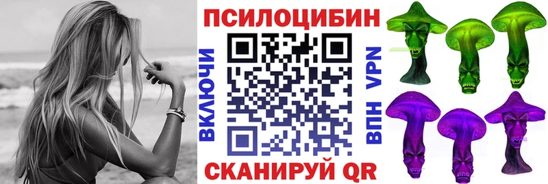 Псилоцибиновые грибы Psilocybe  Шелехов 