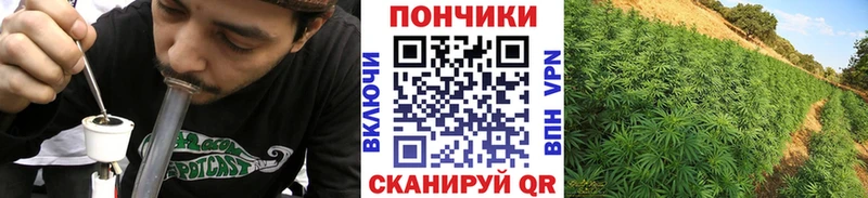 Канабис White Widow  darknet как зайти  Шелехов  мега ссылки 